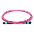LinkIT MTP/MPO-B OM4 12c 8m USConec MTP Female-Female | LSZH