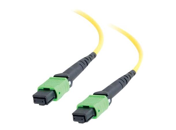 LinkIT MTP/MPO-B OS2 12c 15m USConec MTP Female-Female | LSZH 