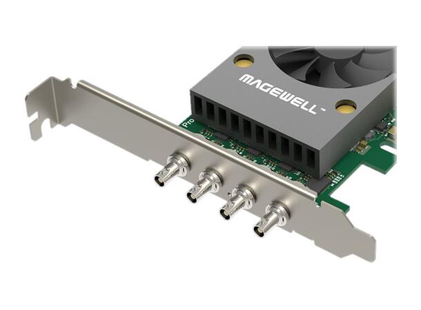 Magewell Pro capture SDI 4K Plus LP PCIe x4, 1-CH 12G SDI, Ultra HD 4Kp60 