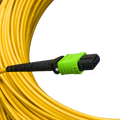LinkIT MPO-A OS2 12c 10m MPO Female - Female | LSZH
