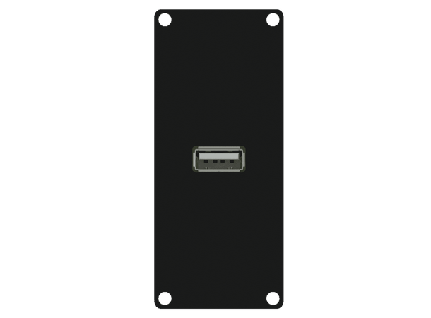 Caymon CASY161/B USB 2.0A panel Black 1 space USB 2.0A gender 