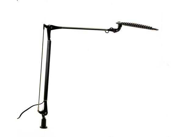 Kenson Wave Light LED| Black | w/socket 