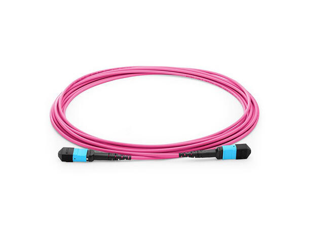 LinkIT MTP/MPO-B OM4 12c 2,5m Female-Female | LSZH | Magenta 