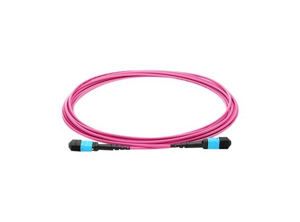 LinkIT MTP/MPO-B OM4 12c 2,5m Female-Female | LSZH | Magenta 