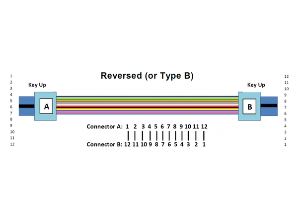 LinkIT MTP/MPO-B OM4 12c 2,5m Female-Female | LSZH | Magenta 