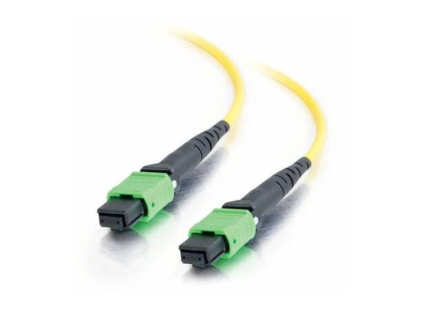 LinkIT MPO-B OS2 12c 0.2m MPO Female-Female | LSZH 