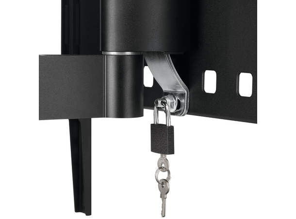 Vogels PFW 3030 DISPLAY WALL MOUNT TURN & TILT 