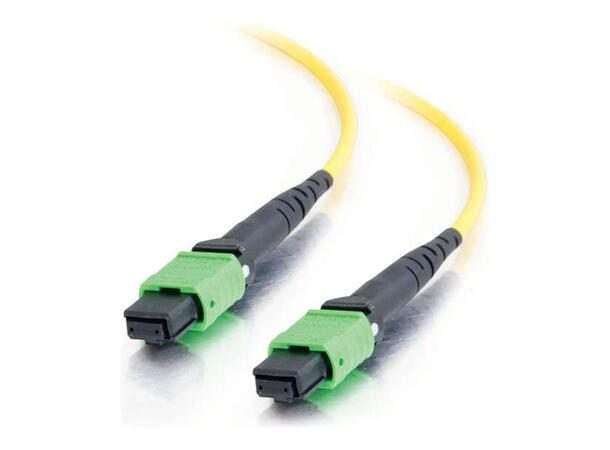 LinkIT MPO-B OS2 12c 1.5m MPO Female-Female | LSZH 