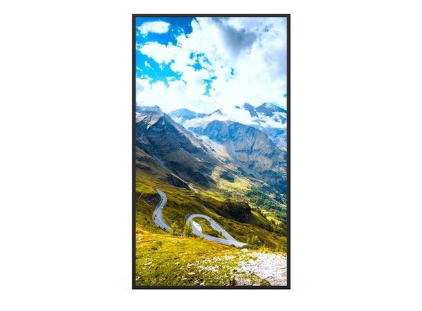 Hisense 65" FHD 1080P High Brightness 2500nits, 24/7, Android 9.0 D-LED 