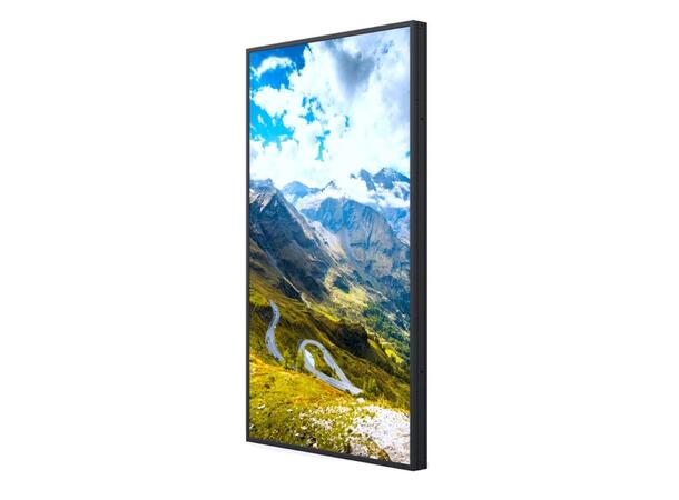 Hisense 65" FHD 1080P High Brightness 2500nits, 24/7, Android 9.0 D-LED 