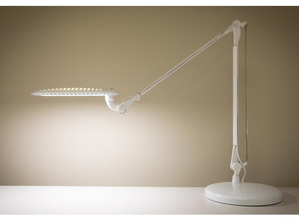 Kenson Wave Light LED | White | w/socket 