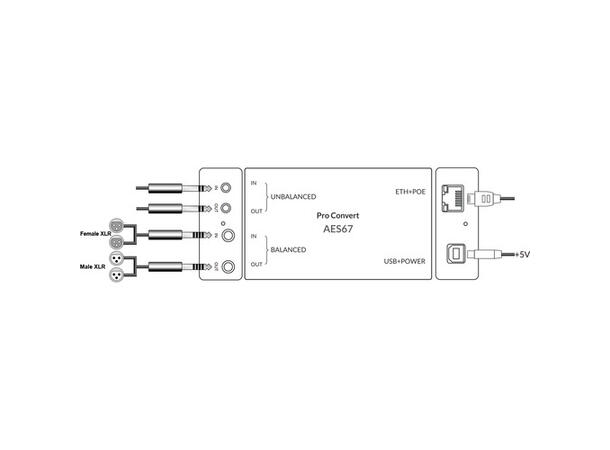 Magewell PRO CONVERT AES67 IP Audio Distribution 